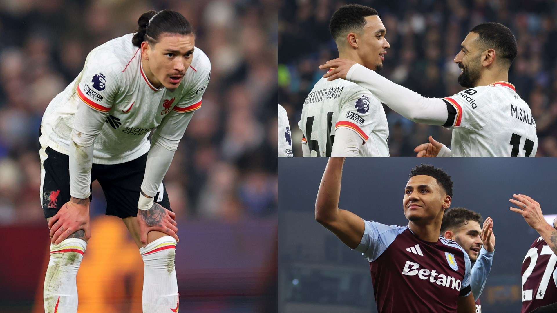 但是他们的 但是他们的